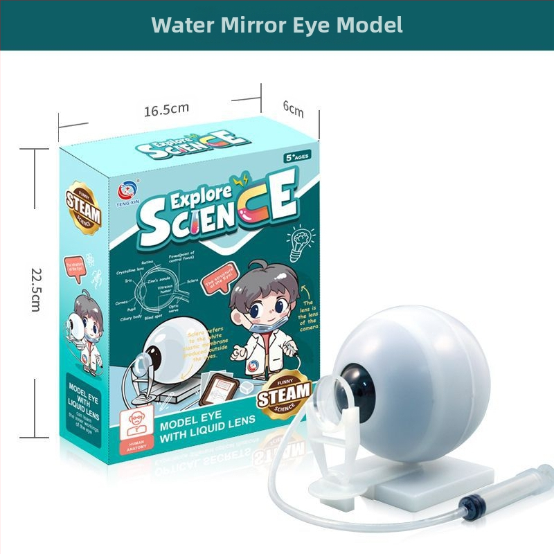 Bioloģijas/ķīmijas izglītojošā rotaļlieta orgānu un skeleta salikšanai — Tengxin, plastmasa, vecums no 7 līdz 14 gadiem