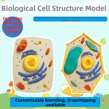 Σετ διδασκαλίας μοντέλων κυττάρων φυτών και ζωικών κυττάρων, ξύλινο υλικό, κατάλληλο για DIY, μη ηλεκτρικό, για μαθητές 7–14