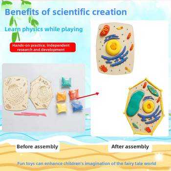 Σετ διδασκαλίας μοντέλων κυττάρων φυτών και ζωικών κυττάρων, ξύλινο υλικό, κατάλληλο για DIY, μη ηλεκτρικό, για μαθητές 7–14