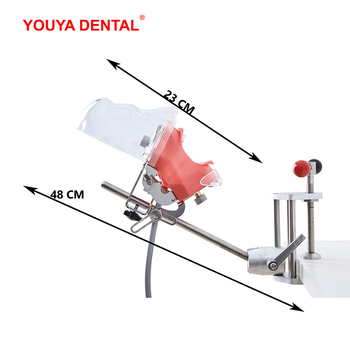 Дентален обучителен модел на глава със сваляем формов модул – устен модел от смола за обучение (6 броя)