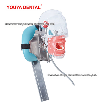 Дентален обучителен модел на глава със сваляем формов модул – устен модел от смола за обучение (6 броя)