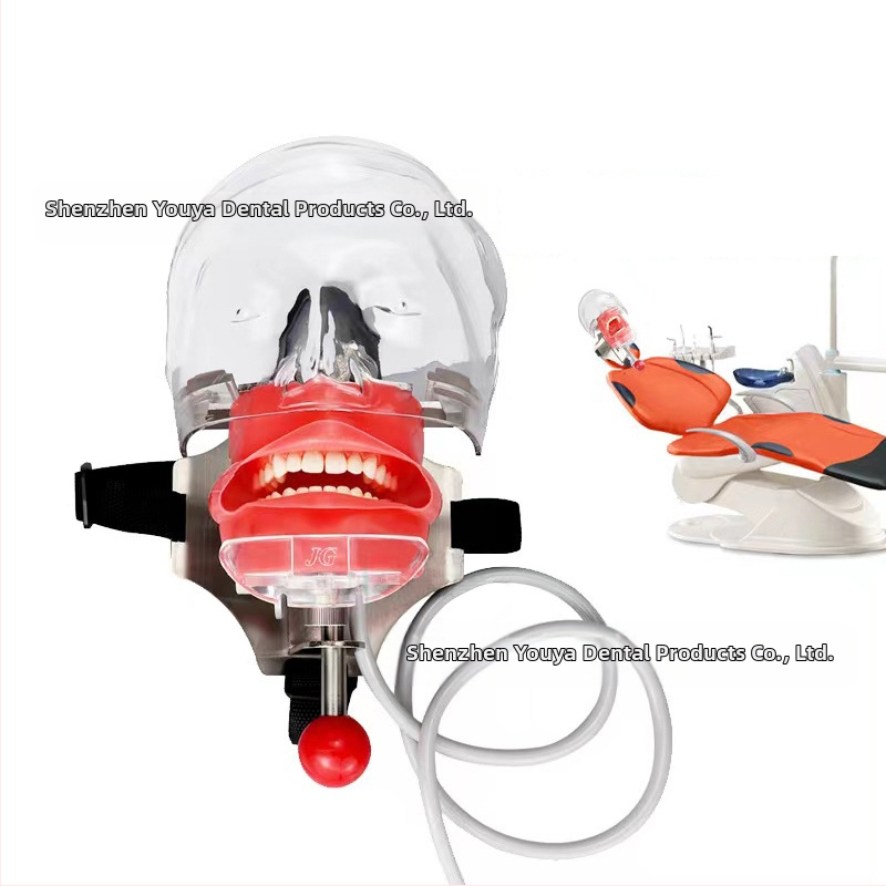 Дентален обучителен модел на глава със сваляем формов модул – устен модел от смола за обучение (6 броя)