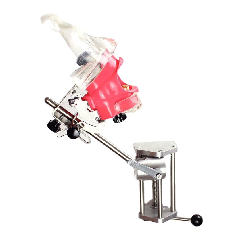 Дентален обучителен модел на глава със сваляем формов модул – устен модел от смола за обучение (6 броя)