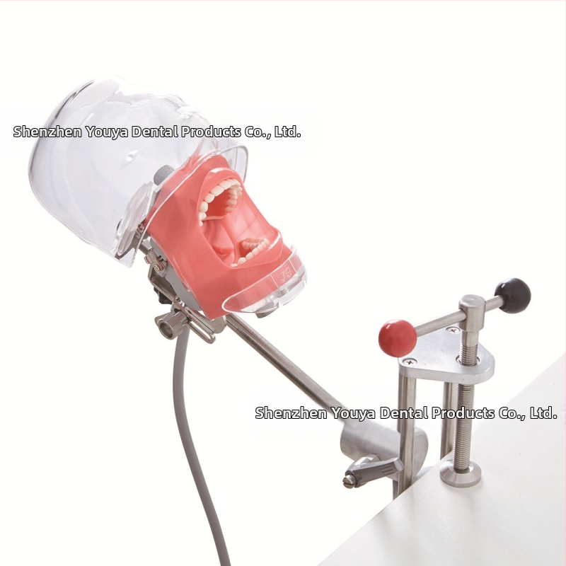 Дентален обучителен модел на глава със сваляем формов модул – устен модел от смола за обучение (6 броя)