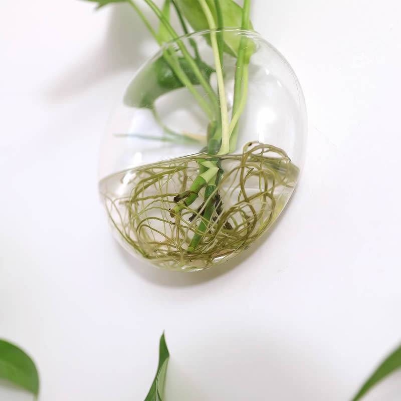 Βάζο τοίχου σε δίσκο από γυαλί μπόροσίλιο, φυσητό, μοντέρνος γεωμετρικός σχεδιασμός, κρεμαστό, για υδροπονικά φυτά