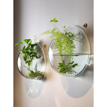 Γλαστράκι από Plexiglass για οικιακή κηπουρική, με βάση δαπέδου, απλός και μοντέρνος σχεδιασμός