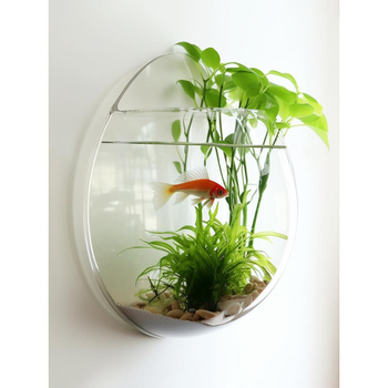 Γλαστράκι από Plexiglass για οικιακή κηπουρική, με βάση δαπέδου, απλός και μοντέρνος σχεδιασμός