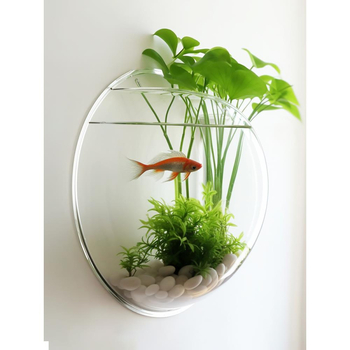 Γλαστράκι από Plexiglass για οικιακή κηπουρική, με βάση δαπέδου, απλός και μοντέρνος σχεδιασμός