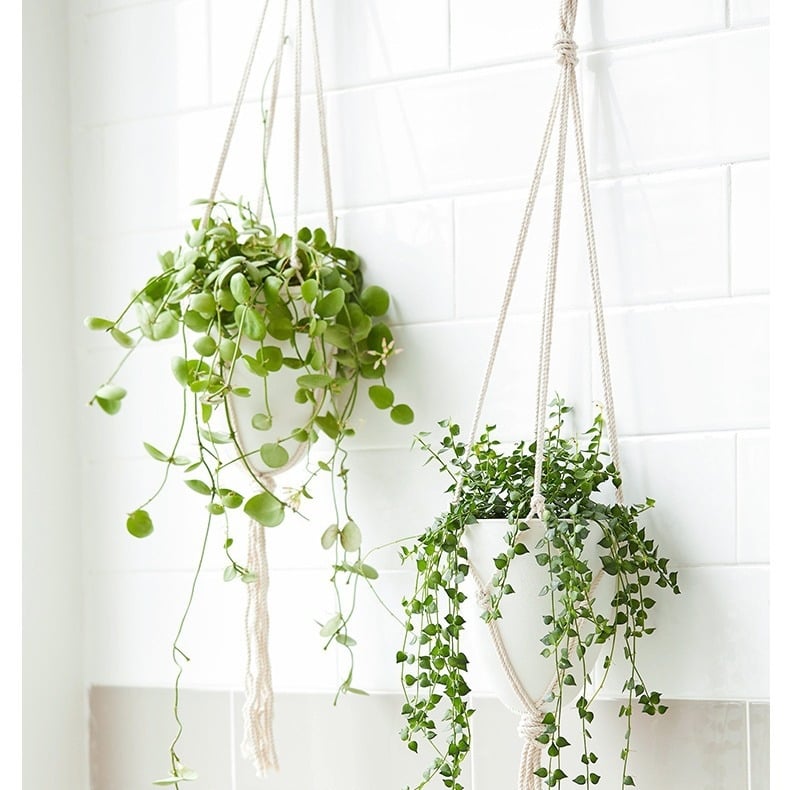 Önöntöző függő virágtartó, műanyagból, európai stílusú, monoblokkos injekciós kivitel