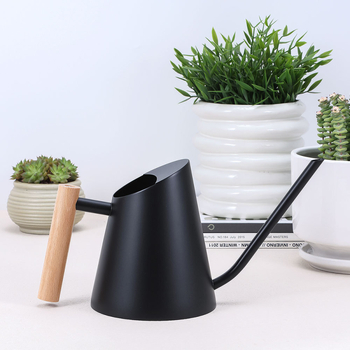 Rozsdamentes acél öntöző kanna fa fogantyúval, kúpos kialakítású permetező, otthoni erkélykerthez, E-PALACE