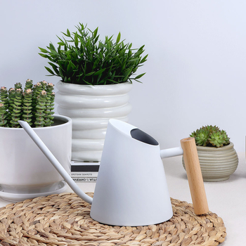 Κανά ποτίσματος από ανοξείδωτο ατσάλι με ξύλινο χερούλι, κωνική σχεδίαση, ακροφύσιο ψεκασμού για οικιακό κήπο μπαλκονιού, E-PALACE