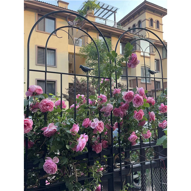 Metalo laipiojimo rėmas augalams, savarankiškai stovinti, dviejų lygių, modulinis