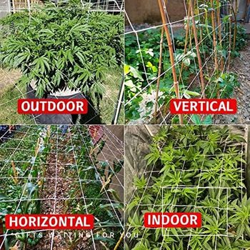 Junda πολυεστερικό αναρριχητικό δίχτυ για φυτά αμπέλου, κωδικός προϊόντος Jdbspt-168