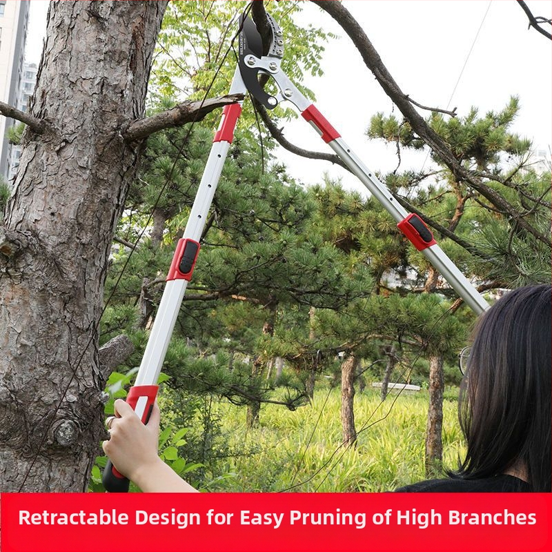 Delixi градинарски секатори за груби клонове, форма на клюн, нож от SK5 стомана, тефлоново покритие, мека дръжка