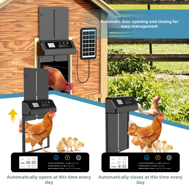 Автоматична врата за кокошарник със соларно захранване и интелигентно автоматично повдигане (Материал: неръждаема стомана; Бранд: aibei; Импорт: Не)