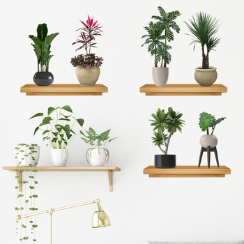 Стенен стикер с растения и цветя – PVC, водоустойчив, стил модерна простота, за дневна и спалня