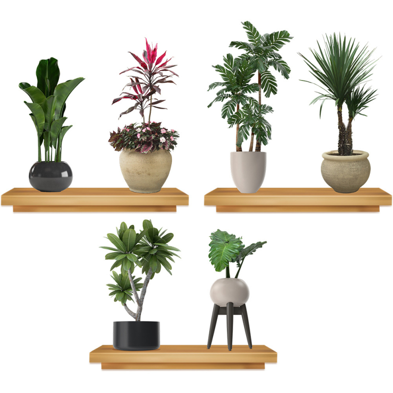 Стенен стикер с растения и цветя – PVC, водоустойчив, стил модерна простота, за дневна и спалня