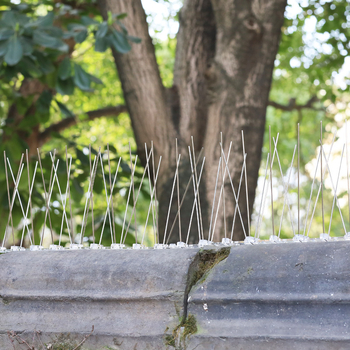 Шипове против птици от неръждаема стомана с PC пластмасова основа – Minpeng, за прозорци и покриви