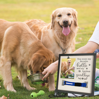 Ξύλινο πλαίσιο μνήμης για σκύλους με μικρό κλιπ και εγγραφή ανάπτυξης