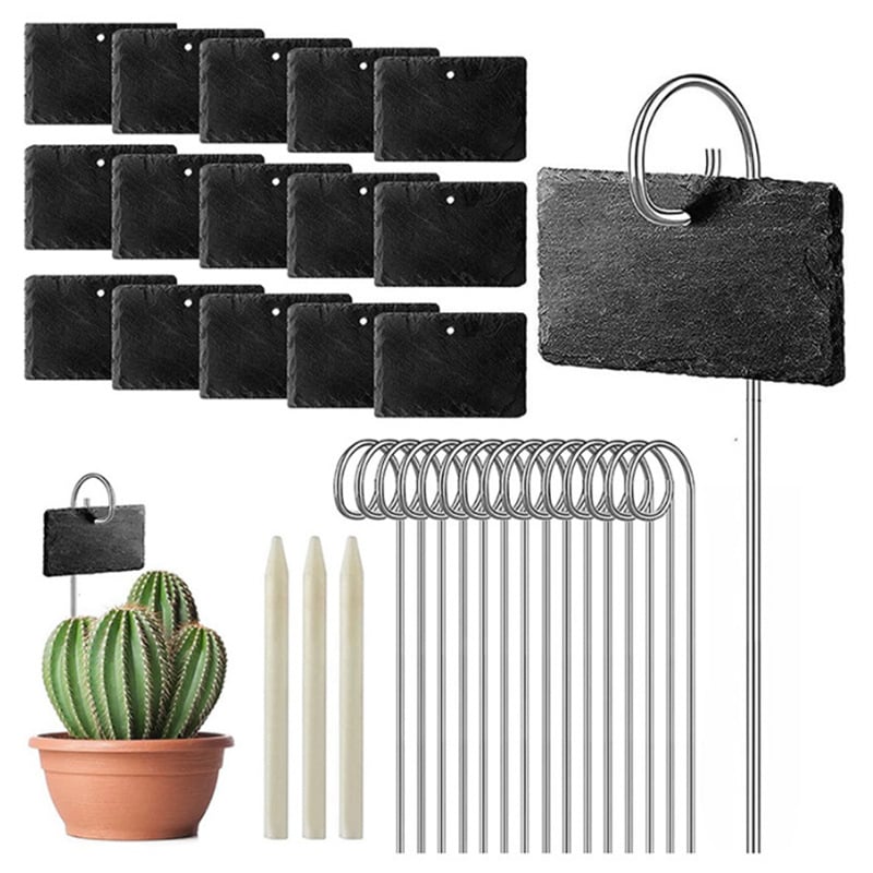 Etichete pentru plante din ardezie naturală cu sârmă din oțel inoxidabil; potrivite pentru flori, arbuști, legume și pomi fructiferi