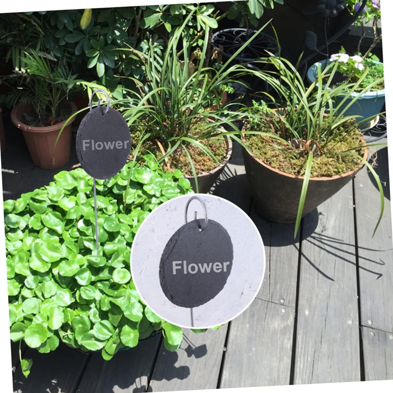 Etichete pentru plante din ardezie naturală cu sârmă din oțel inoxidabil; potrivite pentru flori, arbuști, legume și pomi fructiferi