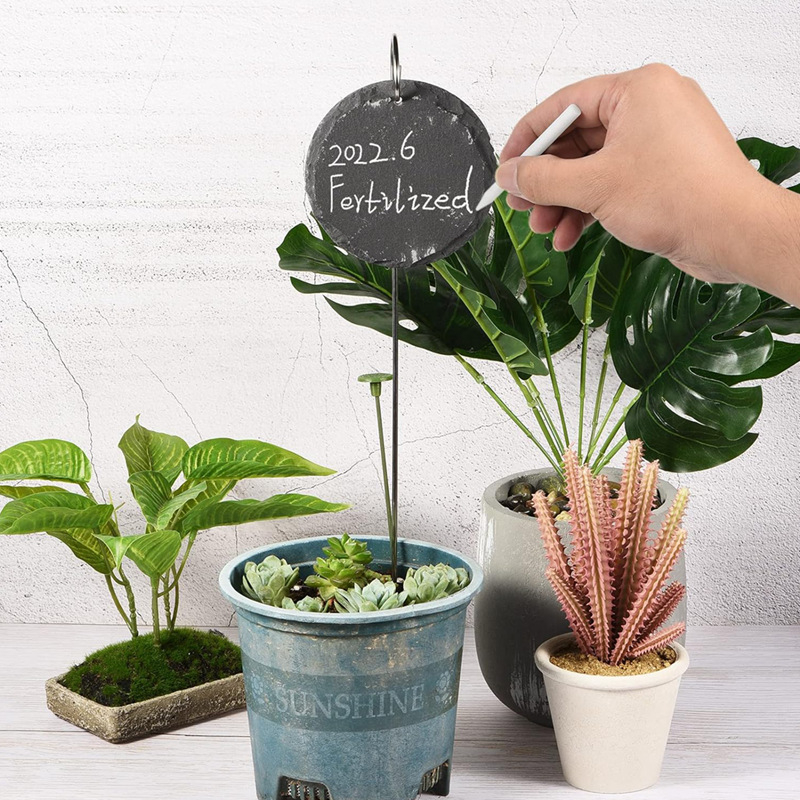 Etichete pentru plante din ardezie naturală cu sârmă din oțel inoxidabil; potrivite pentru flori, arbuști, legume și pomi fructiferi