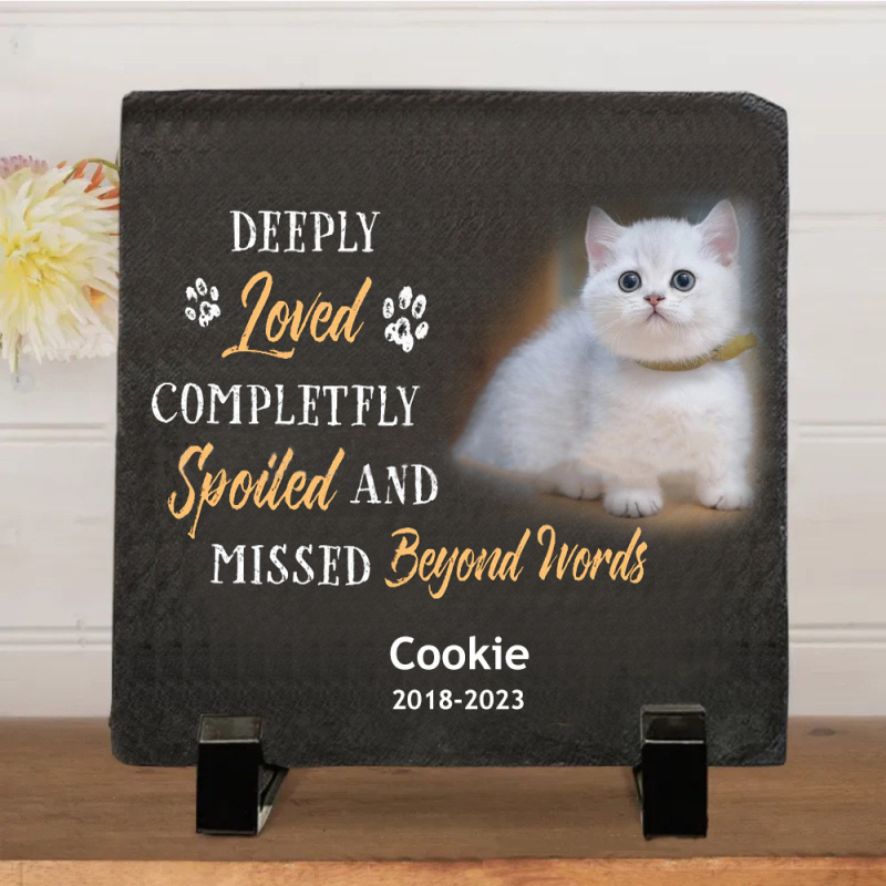 Сърцевиден камънен сувенир за спомен от рождения ден на домашния любимец, персонализиран печат