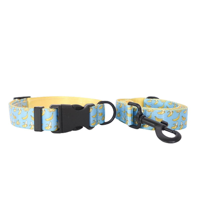 PLATTCO Virágmintás Kutya sétáló Nyakörv és Póráz, Műanyag Nylon, 0,11 kg, Guangdong, Kína