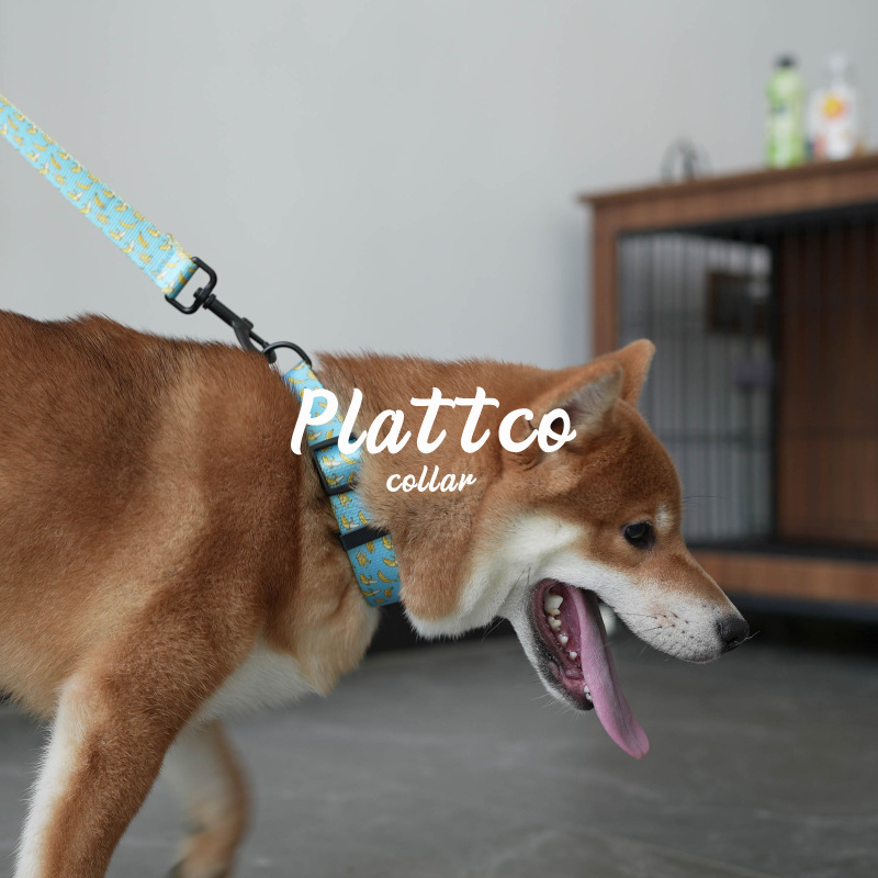 PLATTCO Virágmintás Kutya sétáló Nyakörv és Póráz, Műanyag Nylon, 0,11 kg, Guangdong, Kína