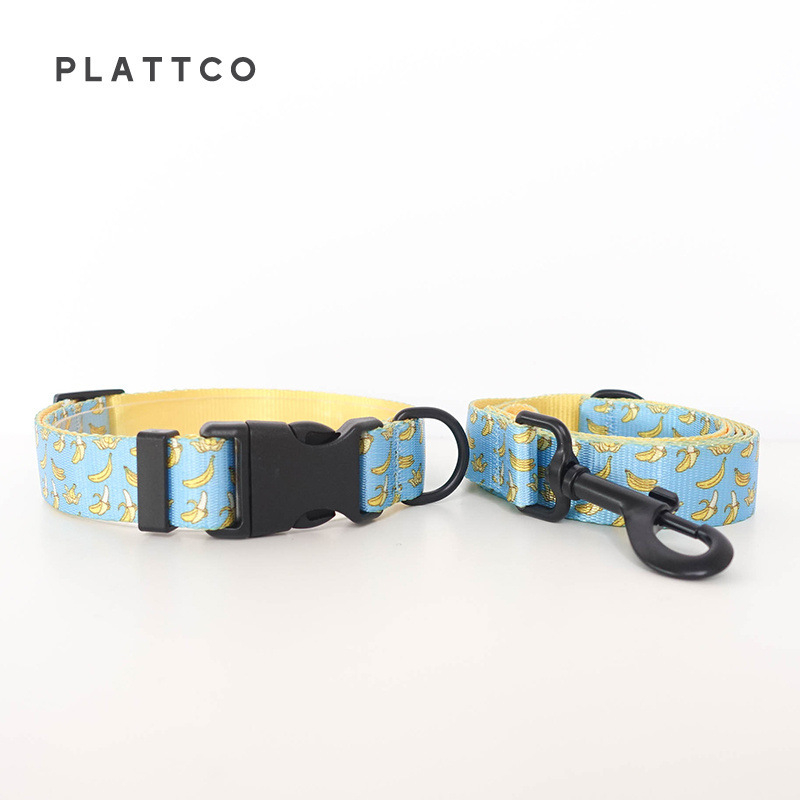 PLATTCO Virágmintás Kutya sétáló Nyakörv és Póráz, Műanyag Nylon, 0,11 kg, Guangdong, Kína