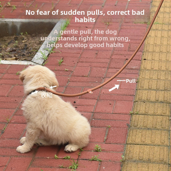Λουρί εκπαίδευσης σκύλου με P-αλυσίδα, σταθερού μήκους, ζώνη θώρακα για μεσαίες και μεγάλες φυλές