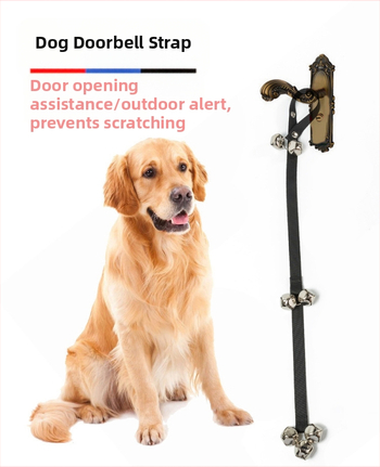 Νάιλον σχοινί κατοικίδιων με κουδουνάκι για σκύλους και γάτες — Bandari, εκπαιδευτικό λουρί, αδειοδοτημένη ιδιωτική ετικέτα