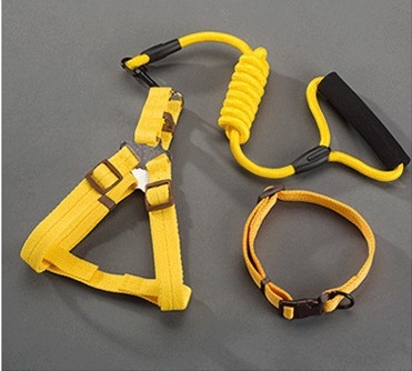 Nailoninė katės liemenė su pavadėliu, neatsitraukia, prekinis ženklas Sheng bangrong