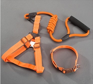 Nailoninė katės liemenė su pavadėliu, neatsitraukia, prekinis ženklas Sheng bangrong