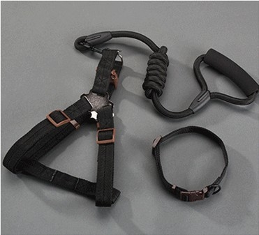 Nailoninė katės liemenė su pavadėliu, neatsitraukia, prekinis ženklas Sheng bangrong