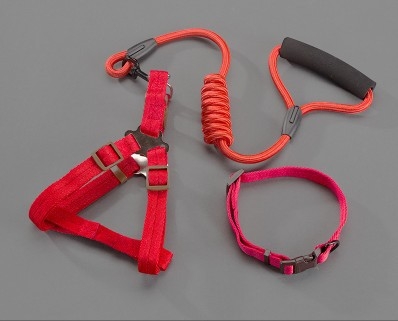 Nailoninė katės liemenė su pavadėliu, neatsitraukia, prekinis ženklas Sheng bangrong