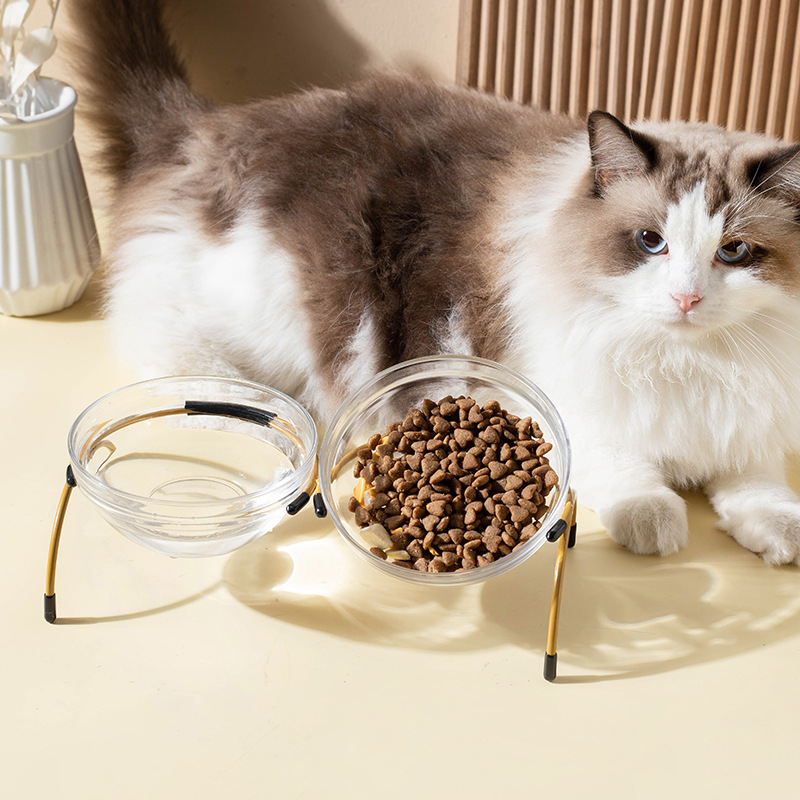 Γυάλινο μπολ γάτας με δύο διαμερίσματα για φαγητό και νερό, ρυθμιζόμενο γωνιακό στήριγμα από σίδηρο, μάρκα Shuo Ni