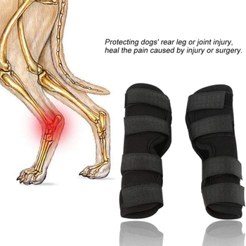 Šuns kelio pagalvėlės – SBR medžiaga, kasdienis stilius, šunims, kojų ir alkūnių apsauga