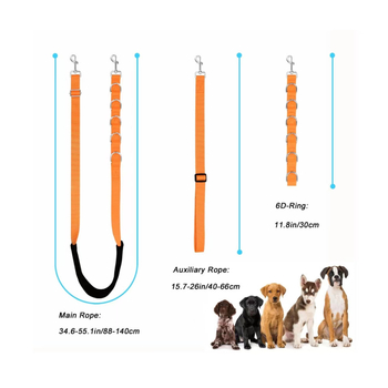 Ρυθμιζόμενη νάιλον ζώνη περιποίησης κατοικιδίων με D-δαχτυλίδι για σκύλους και γάτες