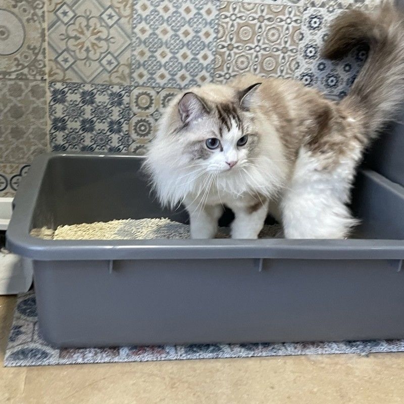 Ορθογώνια πλαστική λεκάνη, πτυσσόμενη, μοντέλο 08888