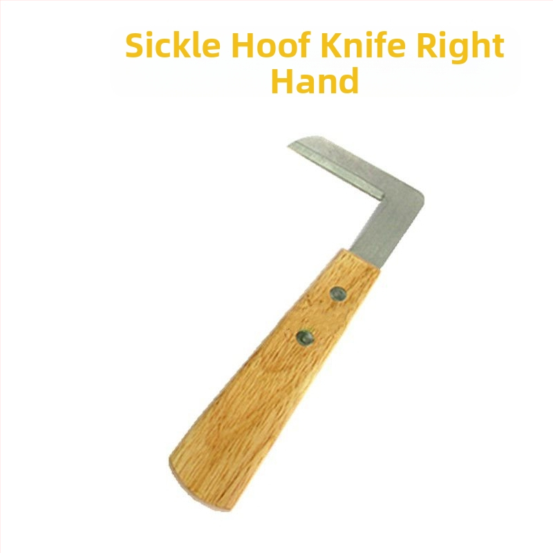 Medžio drožybos įrankių rinkinys: kablio peilis, šlifuoklis (krapštiklis), kadidžio peilis, medinis peilis