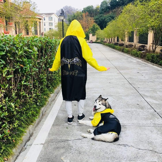 Taylor Treasure poliészter kutya esőkabát - háziállat ruházat, Kényelmes stílus