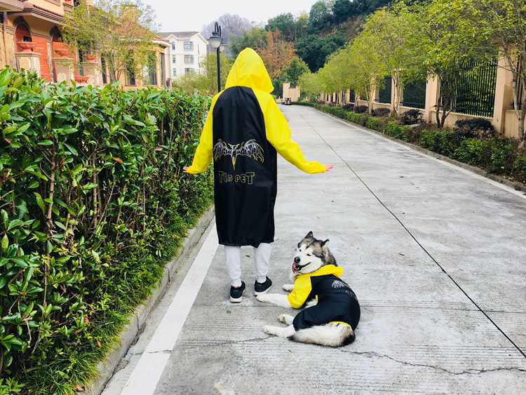 Taylor Treasure poliészter kutya esőkabát - háziállat ruházat, Kényelmes stílus