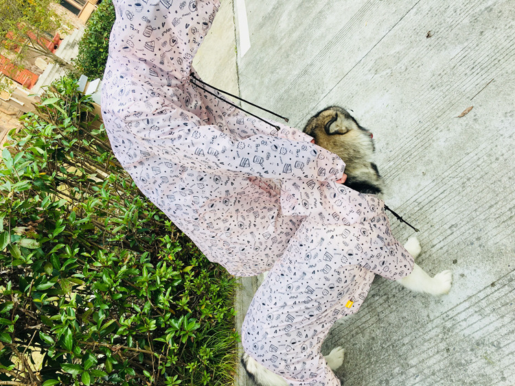 Taylor Treasure poliészter kutya esőkabát - háziállat ruházat, Kényelmes stílus