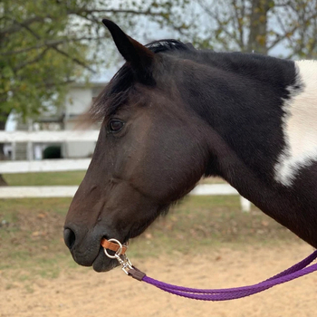 Конски поводци Minette от кожа, с персонализирано лого, пакет от 120 броя