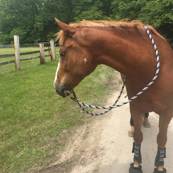 Конски поводци Minette от кожа, с персонализирано лого, пакет от 120 броя