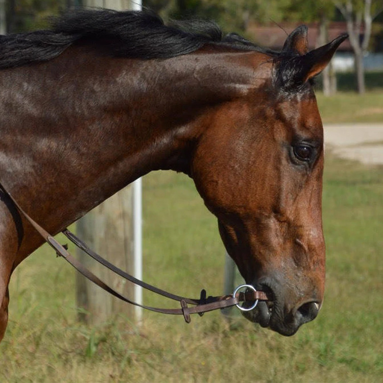 Конски поводци Minette от кожа, с персонализирано лого, пакет от 120 броя