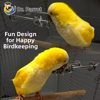 Παιχνίδι δαγκώματος για παπαγάλο, διαδραστική ανακούφιση άγχους, ανοξείδωτο ατσάλι, κρεμαστό για κλουβί (Προέλευση: Wenzhou; Εισαγωγή: Όχι)