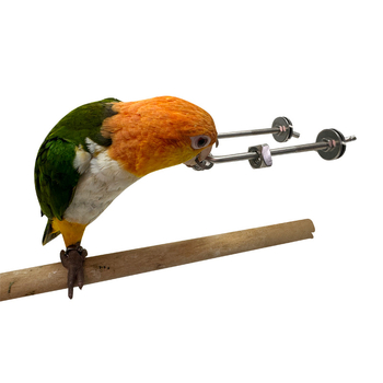 Παιχνίδι δαγκώματος για παπαγάλο, διαδραστική ανακούφιση άγχους, ανοξείδωτο ατσάλι, κρεμαστό για κλουβί (Προέλευση: Wenzhou; Εισαγωγή: Όχι)