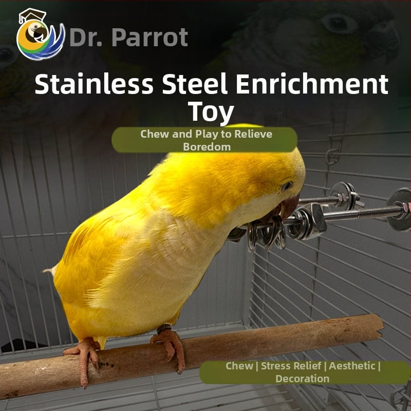 папагайска дъвкателна играчка за облекчаване на стреса, неръждаема стомана, висулка за клетка, интерактивна (Произход: Wenzhou; Внос: Не)